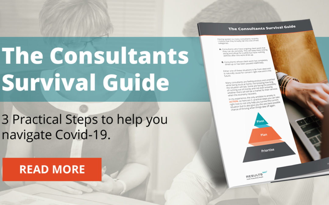 The Consultants Survival Guide